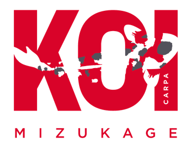 Koi Mizukage